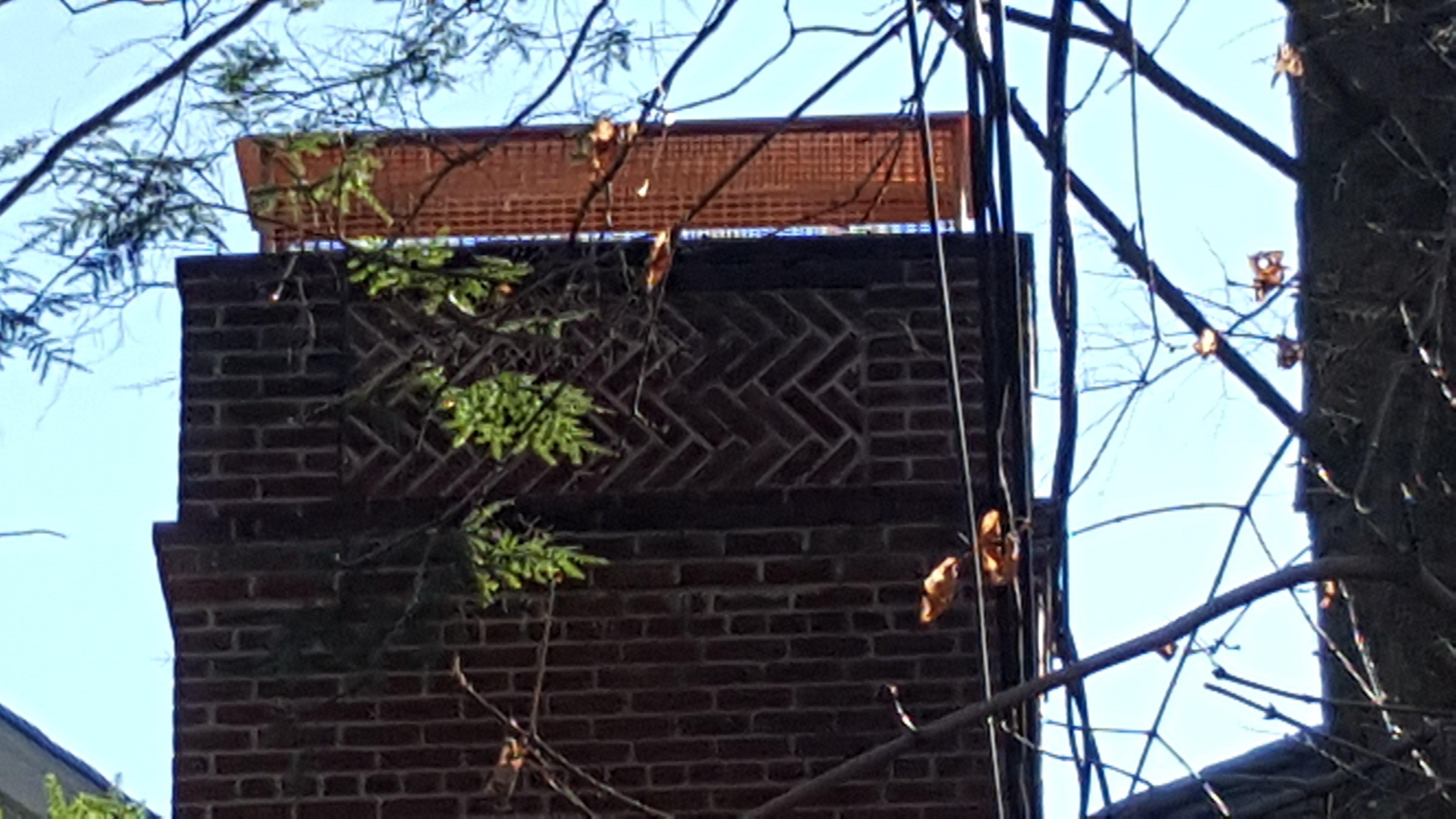 Animal-proof chimney cap protecting home in Rockville Centre, New York